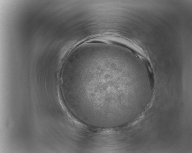 X0000058120097200510071950