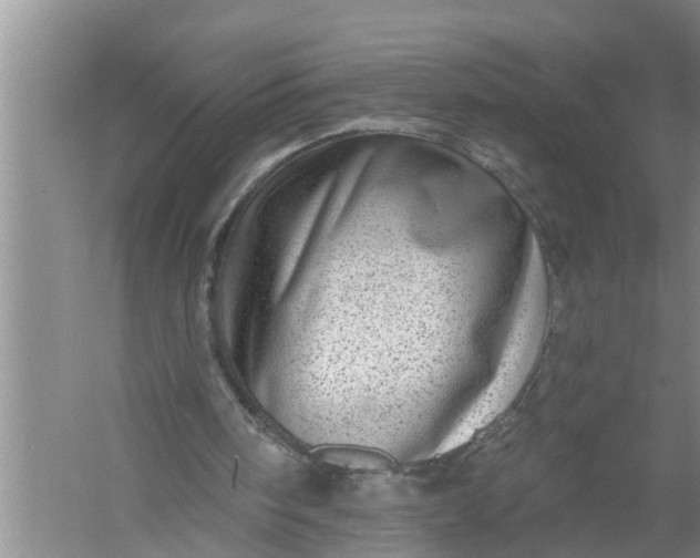 X0000058120098200510071950