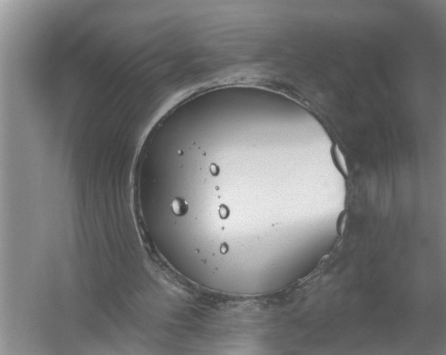 X0000058120100200510071950