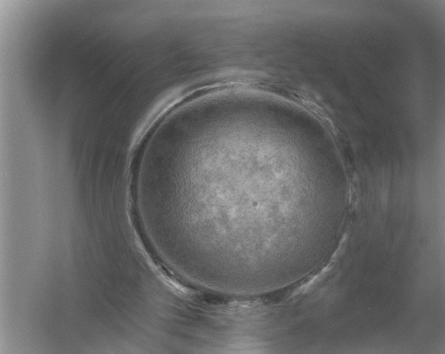 X0000058120101200510071950