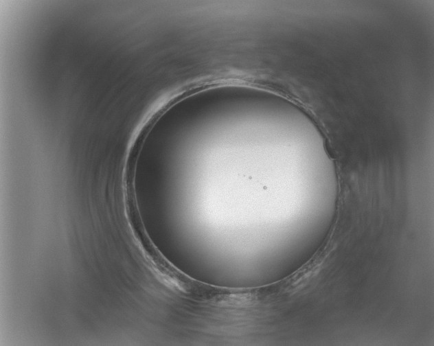 X0000058120102200510071950