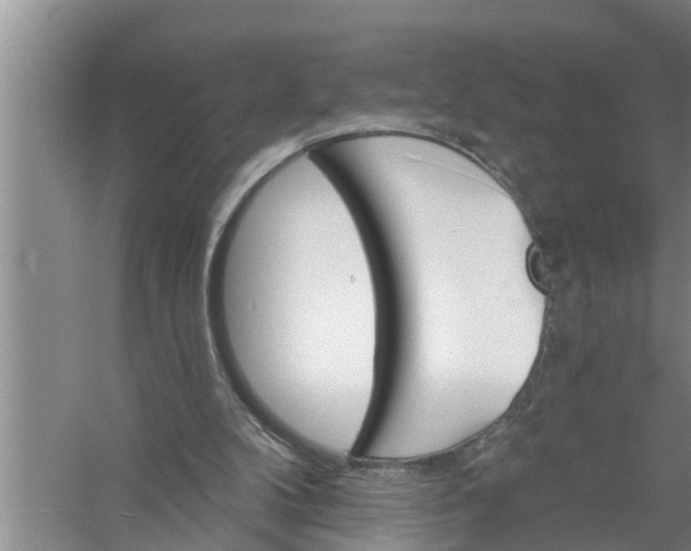 X0000058120104200510071949