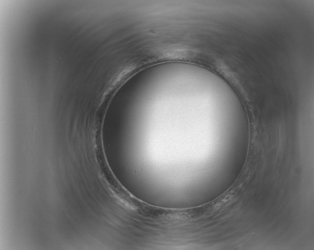 X0000058120106200510071949