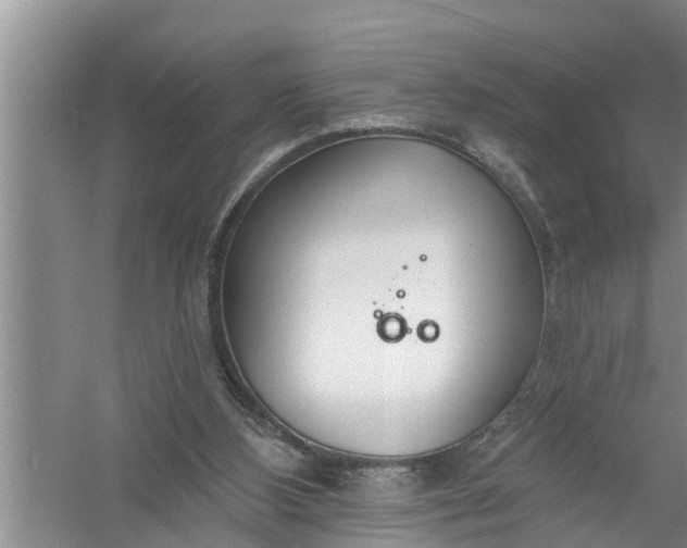 X0000058120108200510071949