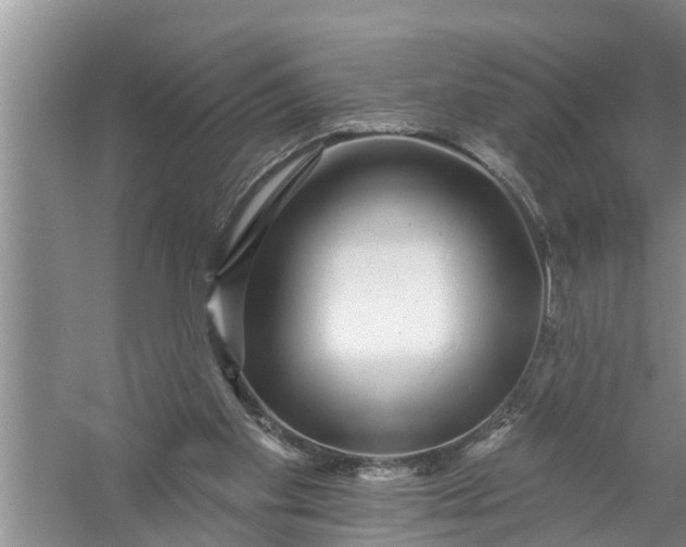 X0000058120109200510071949