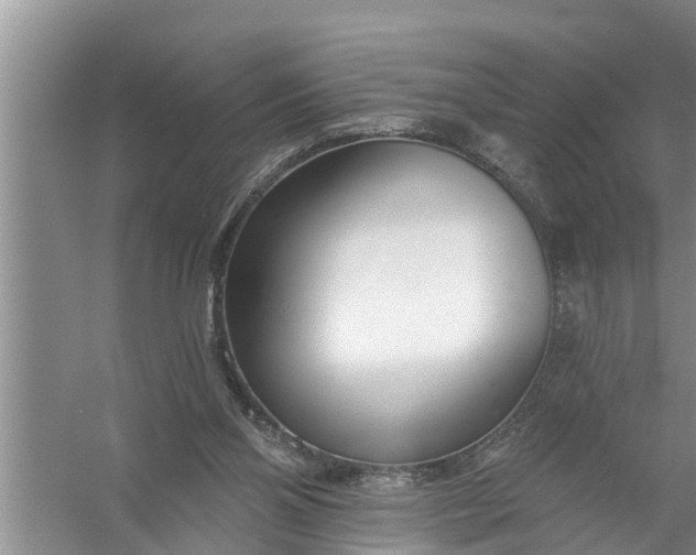 X0000058120110200510071949