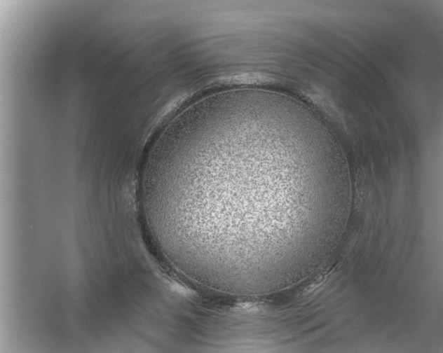 X0000058120111200510071949