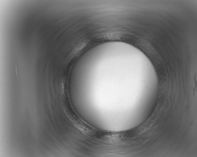 X0000058120120200510071949