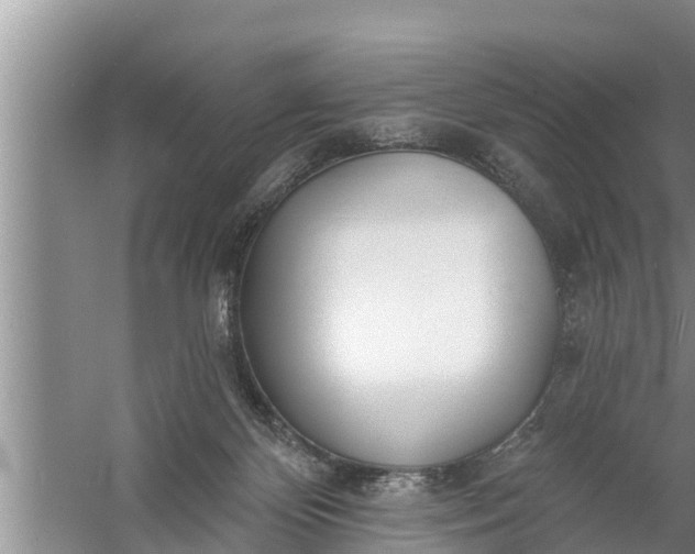 X0000058120124200510071949