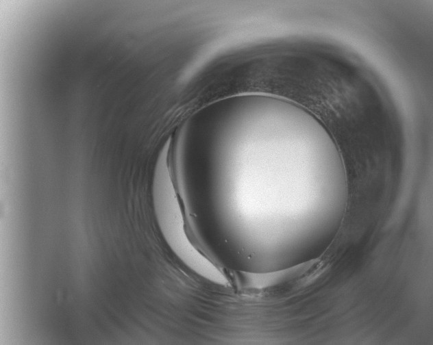 X0000058120143200510071949