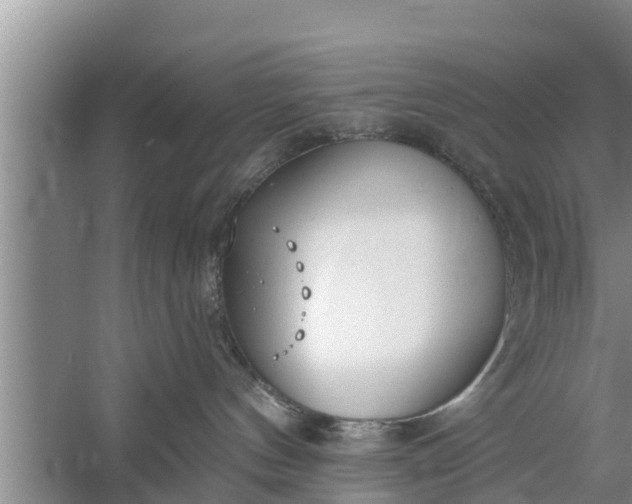 X0000058120144200510071949