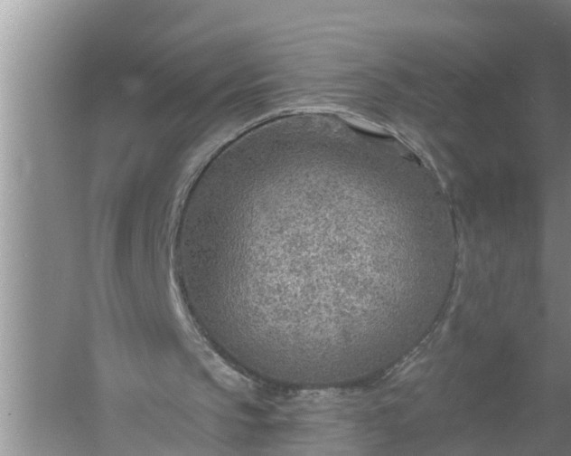 X0000058120145200510071948