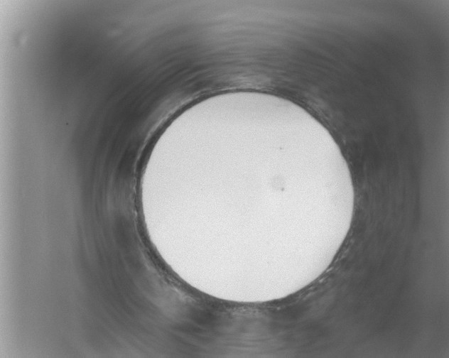 X0000058120146200510071948