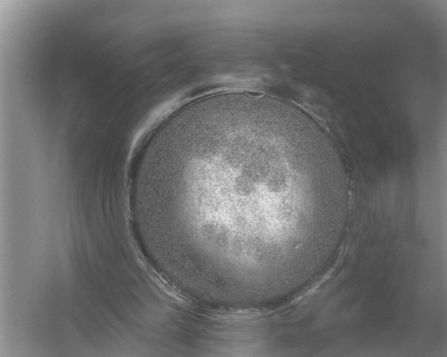 X0000058120149200510071948