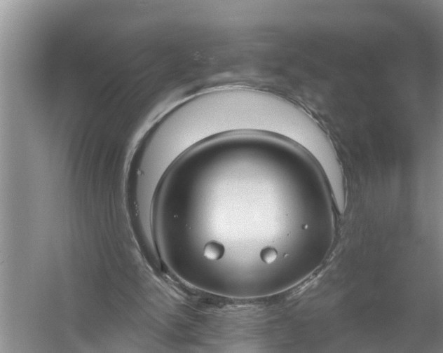 X0000058120150200510071948