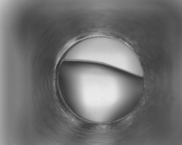 X0000058120152200510071948