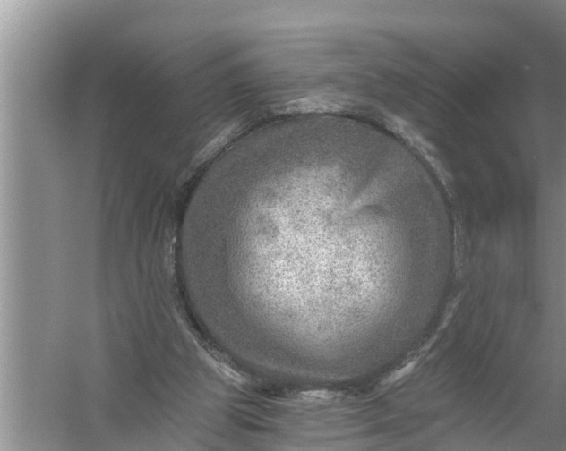 X0000058120153200510071948