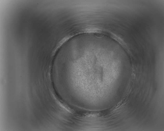 X0000058120155200510071948