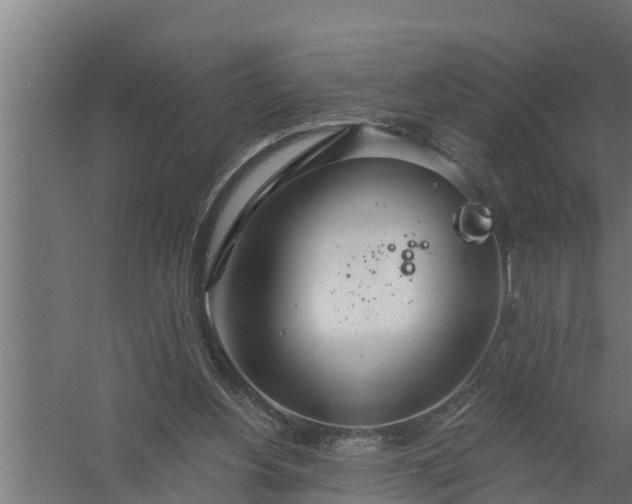 X0000058120156200510071948