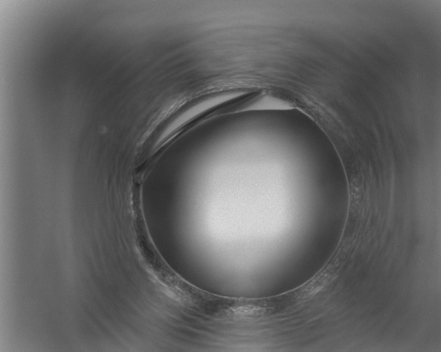 X0000058120158200510071948