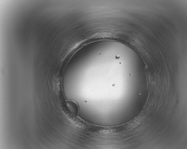 X0000058120160200510071948