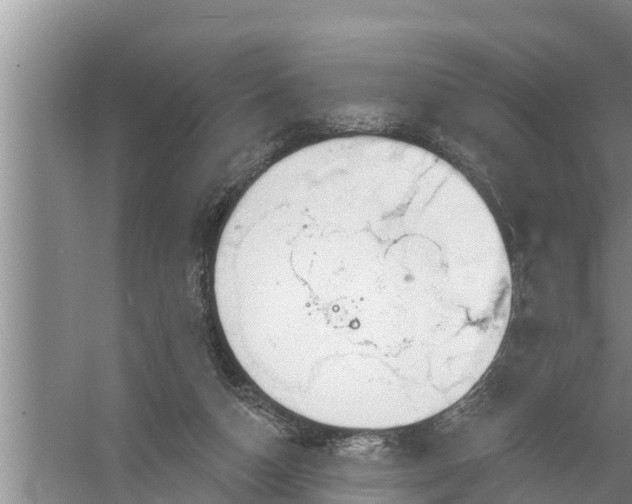 X0000058120162200510071948