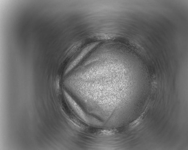 X0000058120166200510071948