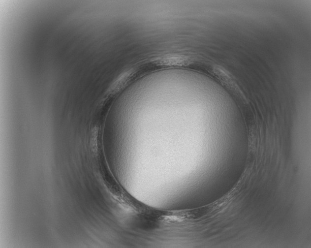 X0000058120167200510071948