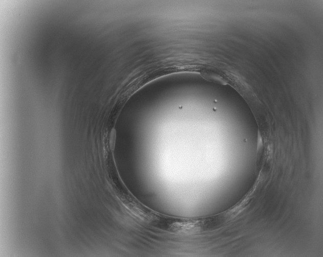 X0000058120170200510071948