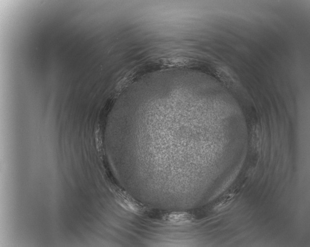 X0000058120173200510071948