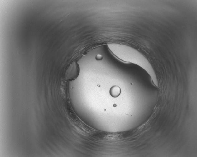 X0000058120175200510071948