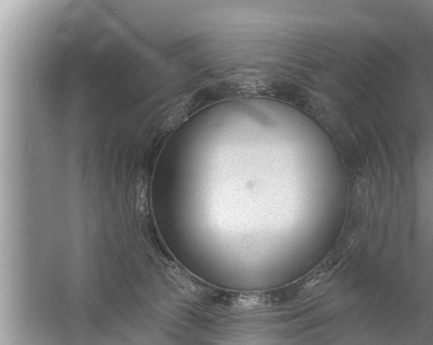 X0000058120177200510071949