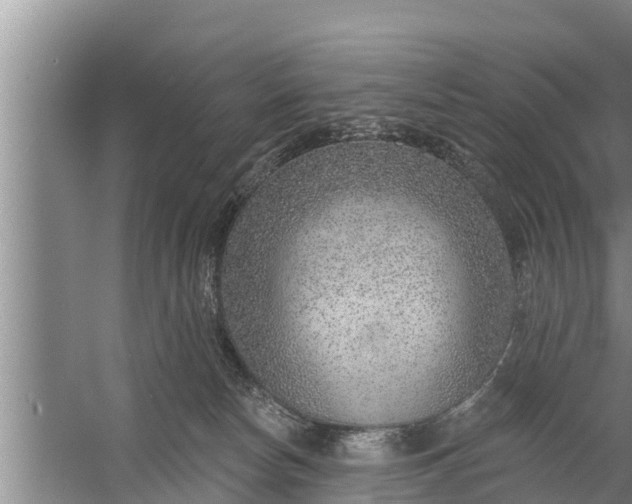 X0000058120178200510071949