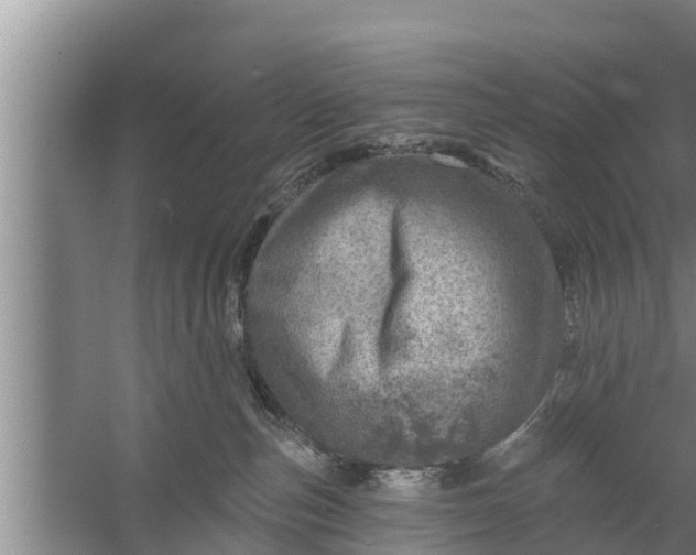 X0000058120187200510071949