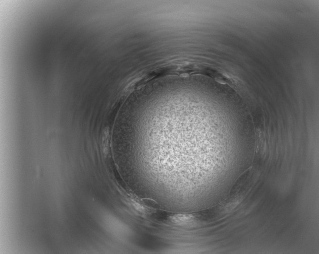 X0000058120189200510071949