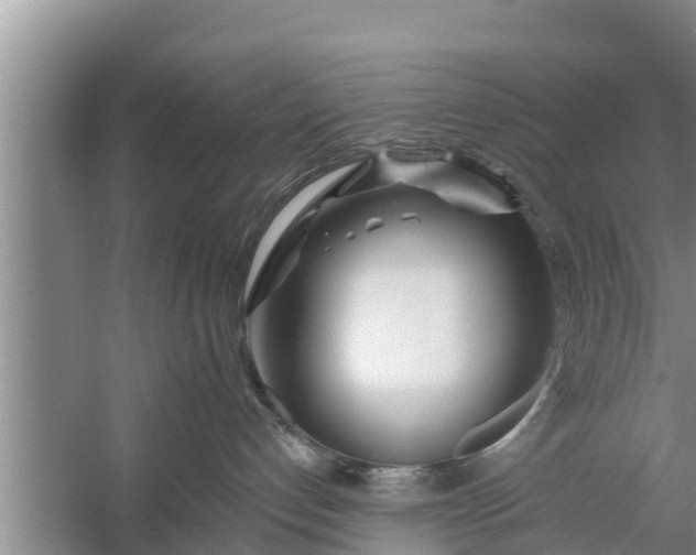 X0000058120192200510071949