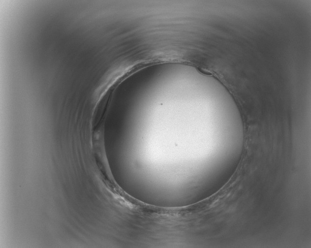 X0000058120194200510071948