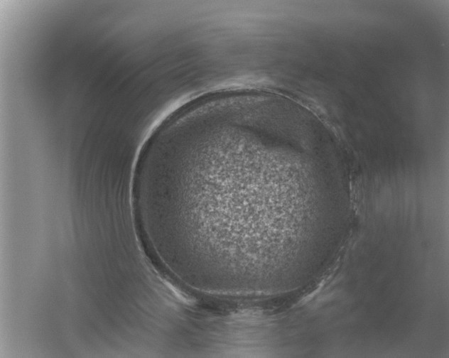 X0000058120196200510071948