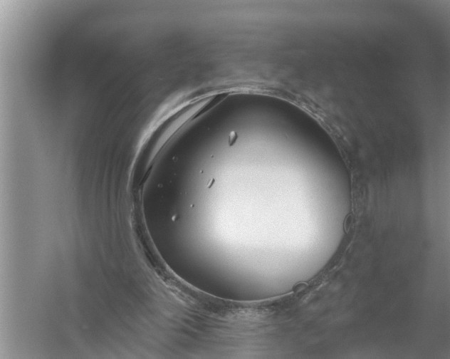 X0000058120198200510071948