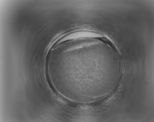 X0000058120199200510071948