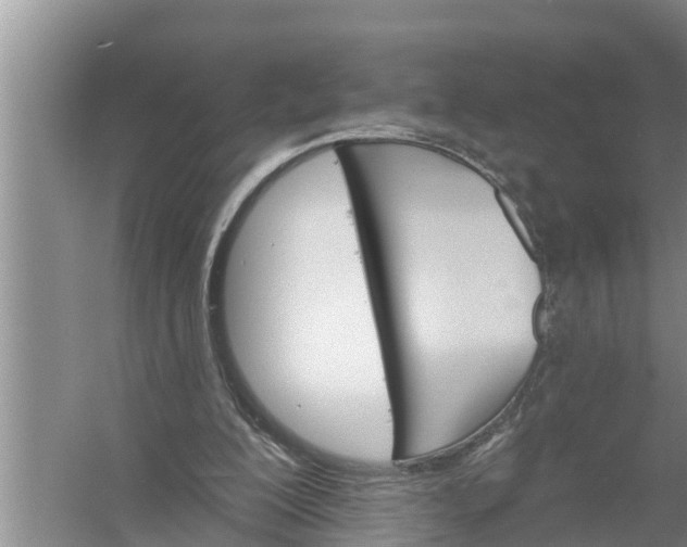 X0000058120200200510071948