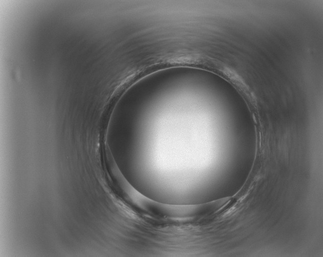 X0000058120201200510071948