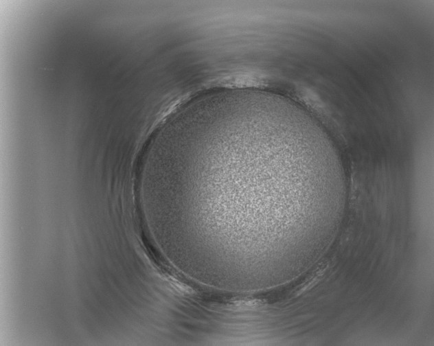 X0000058120202200510071948