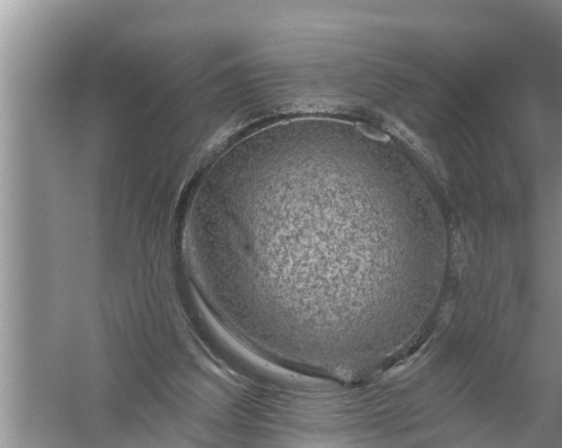 X0000058120203200510071948