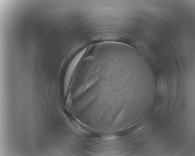 X0000058120206200510071948