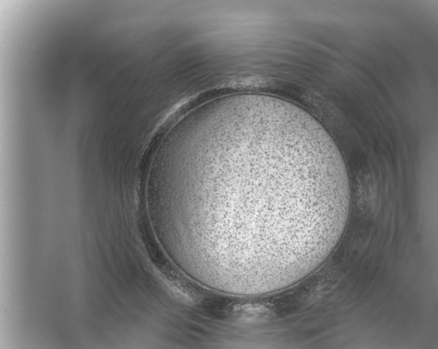 X0000058120208200510071948