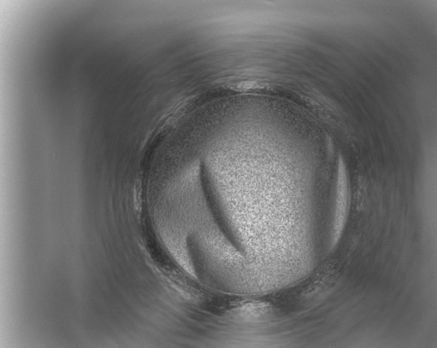 X0000058120210200510071948