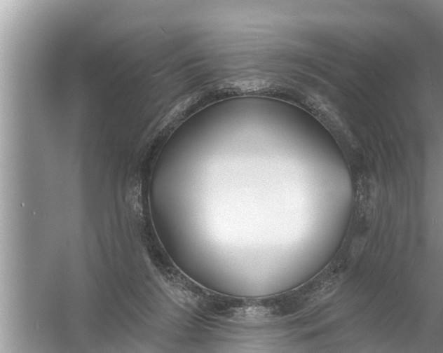 X0000058120212200510071948