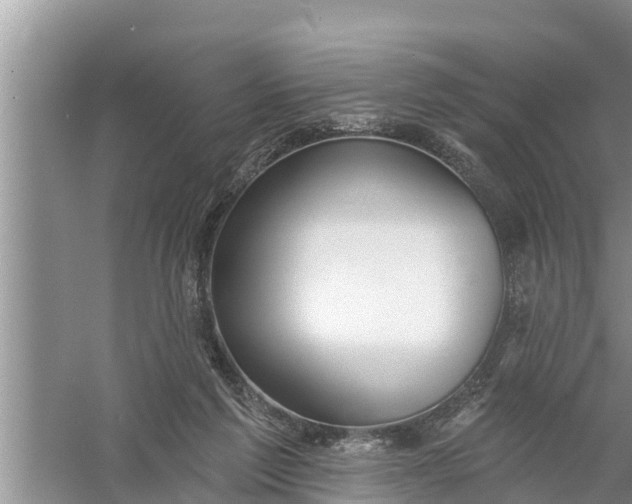 X0000058120213200510071948