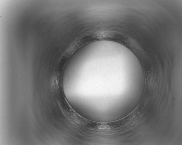 X0000058120214200510071948